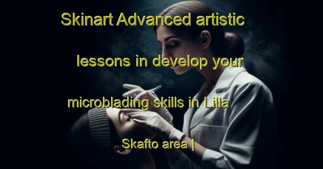 Skinart Advanced artistic lessons in develop your microblading skills in Lilla Skafto area | MicrobladingTraining | MicrobladingClasses | SkinartTraining-Sweden